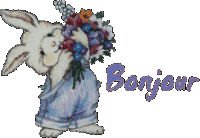 Gif animé bonjour lapin